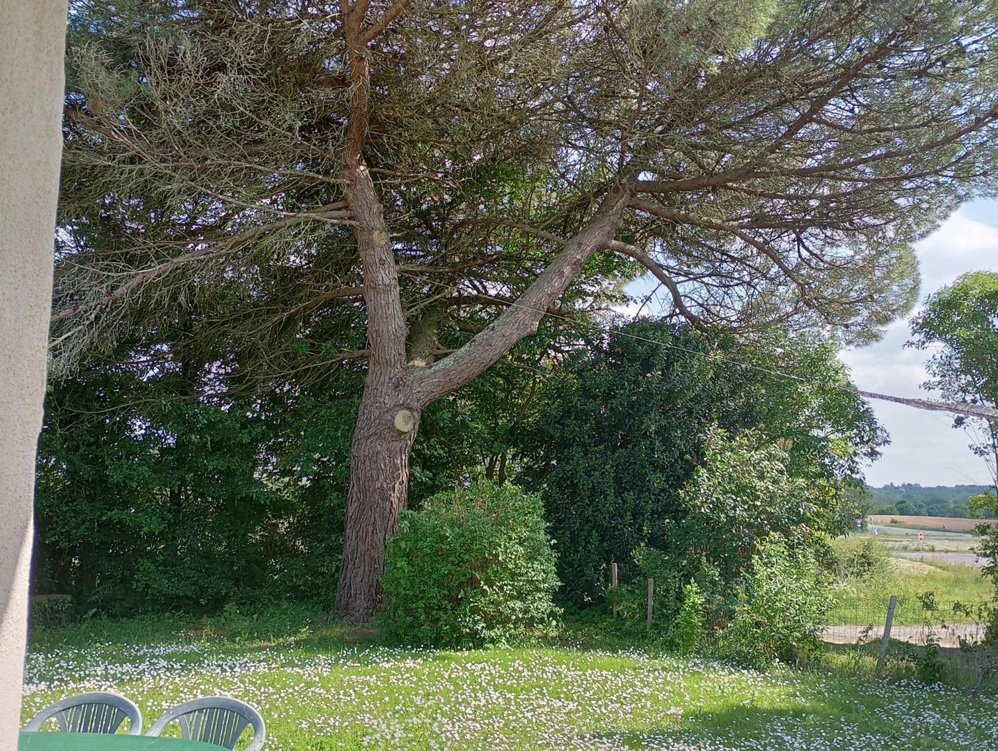 Gite Du Petit Gue Frossay Kamer foto